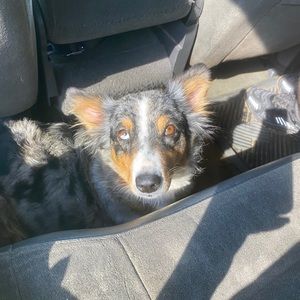 Meet your Posher, Claudia